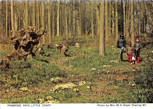 uk49229 primrose path little chart uk