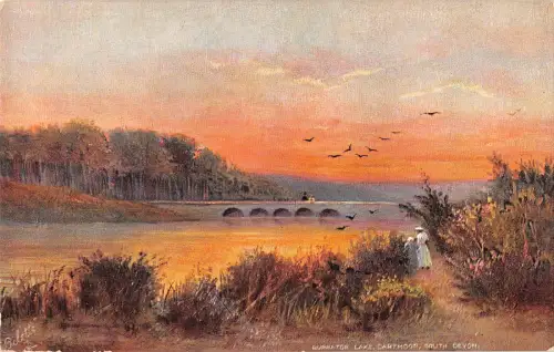 uk21539 dartmoor south devon uk