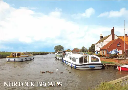 uk48735 stokesby river bure norfolk broads uk