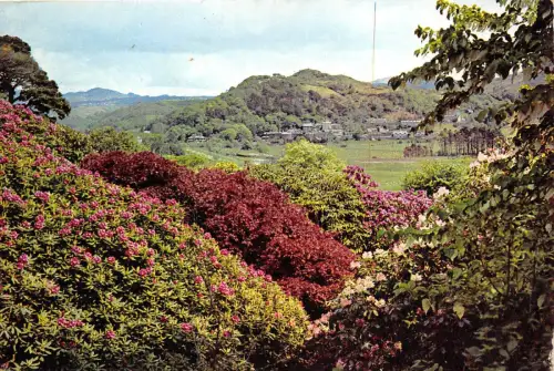 B87171 das Tal von Festiniog und Maentwrog Merioneth Wales