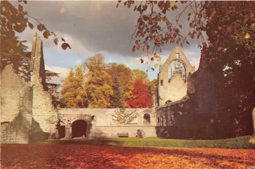 BT17731 dryburgh abbey on the tweed neat melrose scotland
