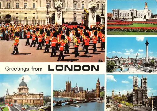 uk6582 greetings from london uk military horse soldat