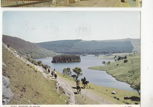 BF30427 Pony Trekker in Wales UK Typen Front/Back Bild