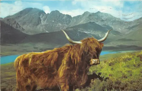 US61 Uk Scotland a highland rover 1972 ox postkarte