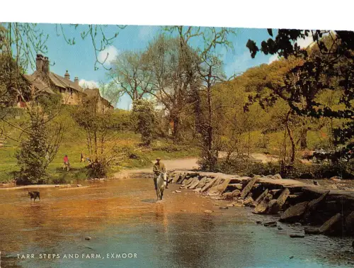 US75 UK England Exmoor Tarr Steps and Farm Horse