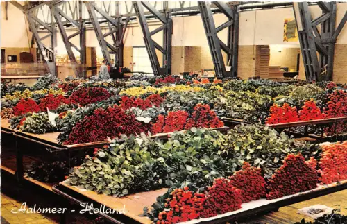 US83 Niederlande Aalsmeer Interieur Blumen Auktion Blumenmarkt