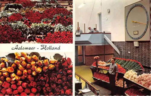 US83 Niederlande Aalsmeer Interieur Blumen Auktion Blumenmarkt