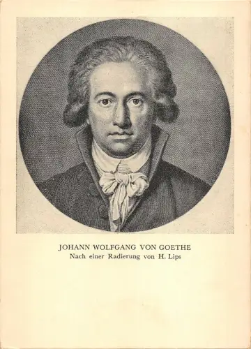 US4243 Johann Wolfgang von Goethe Nach einer Radierung von H. Lips