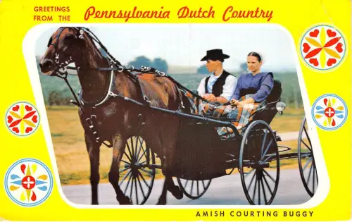 US16 USA PA Pennsylvania Dutch Country Amish Courting Buggy 1980