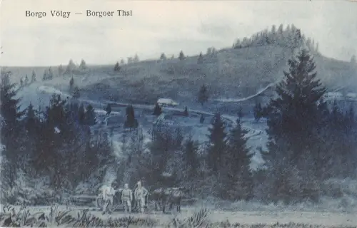 b78743 borgo volgy borgoer thal Prundu Bargaului bistrita nasaud romania