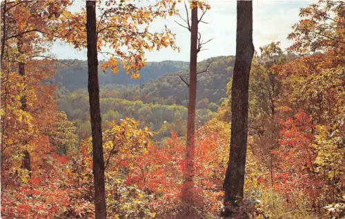 US2 USA Sunset Point Overview Mammoth Cave National Park Kentucky 1981 Flugzeug sta