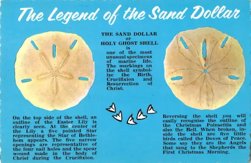 US4517 The Legend of the Sand Dollar or Holy Ghost Shell