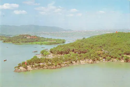 BR102828 Yuantouzhu Porzellan Schildkrötenkopf Garten aus der Vogelperspektive