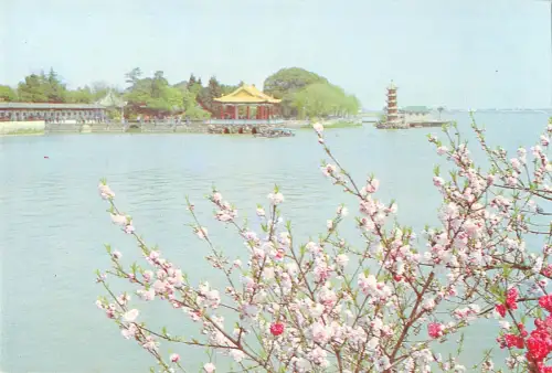 BR102858 Frühling kommt zu Li Yuan Li Garten Porzellan