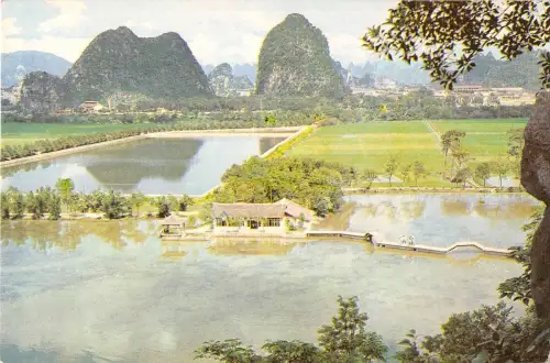 BR102827 Fragment Lotus Teich Porzellan