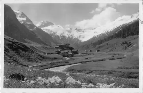 BR102408 Fruchtling in der fextalen Schweiz Echtfoto