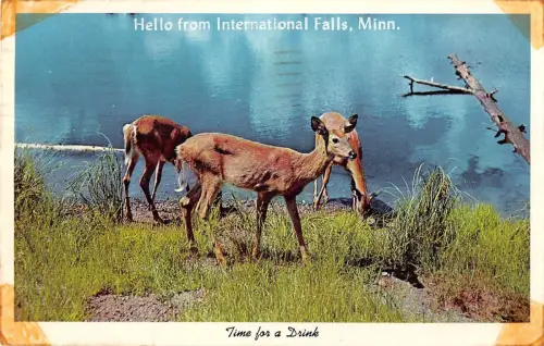 BR98737 time for a drink deer international falls minn usa