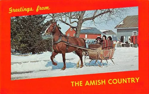 BR100706 greetings from the amish country one horse open sleigh usa
