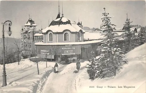 br106126 les magasins caux palace switzerland paul boyer