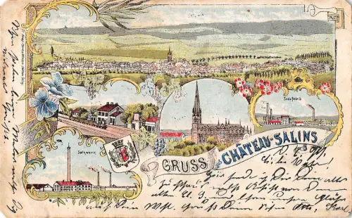 BG19219 gruss aus chateau salins frankreich litho