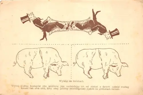 Polen Judaica signiert S Bob Kolomyia Ukraine wyscigi na swinkach pig racing
