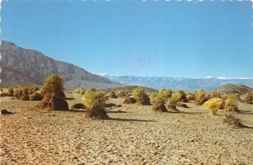 Lot379 USA Death Valley National Monument California