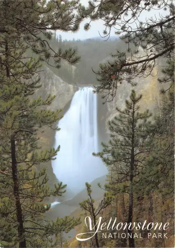 lot381 USA yellowstone national park lower falls