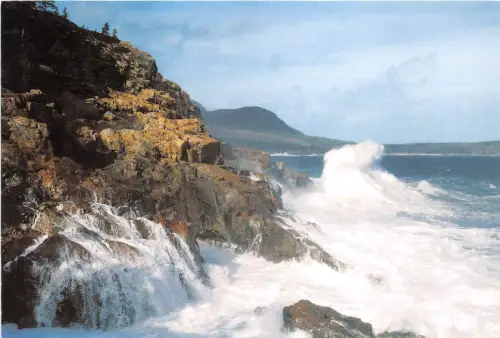 lot382 USA otter cliffs acadia national park
