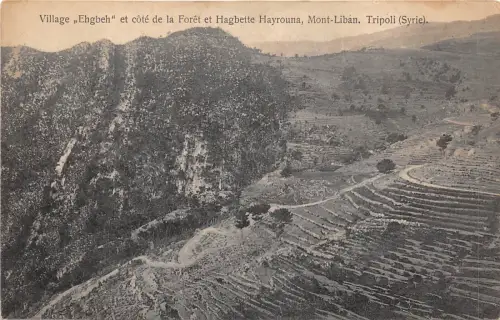 lot385 Tripolis Lybia Libia hagbette hayrouna forest