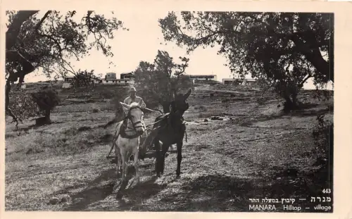 lot389 israel Manara hilltop village
