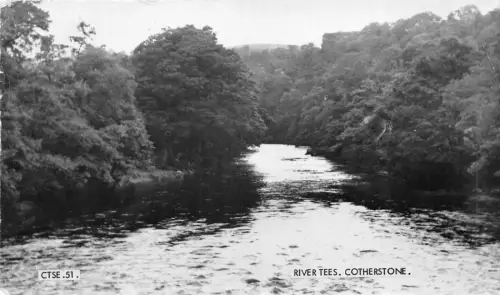 lot402 river trees cotherstone Durham yorkshire uk