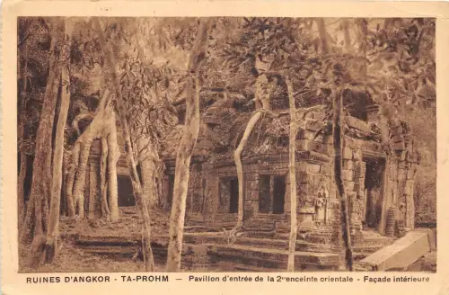 lot403 cambodia angkor vat ta prohm 