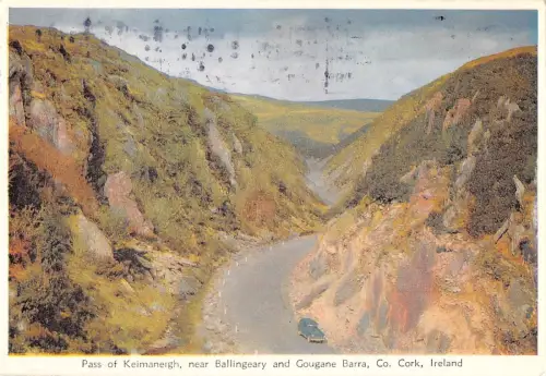 B96656 Pass von Keimaneigh bei Ballingeary und Gougane Barra Kork Irland