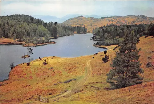 B8686876 Tarnhows in der Nähe von Coniston und Hawkshead Lancashire UK