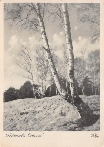 B35159 ostern ostern germany