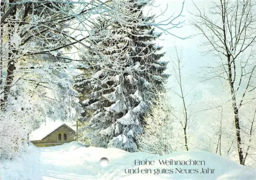 B53976 Winterlandschaft Baumlaube
