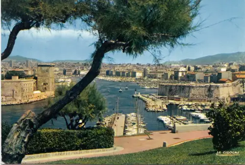 BF12996 marseille b d r le vieux port vu des jardins france front/back image