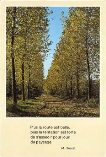 B51481 Beuselinck Belgien Arbres Tree