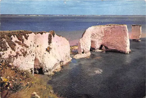 B87599 old harry rocks near studland dorset uk