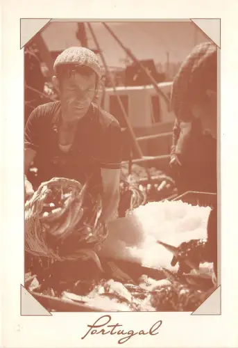 BR6496 Portugal Peche Fishers
