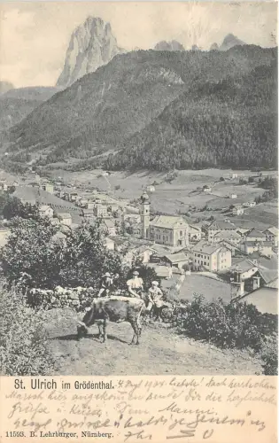 Lot 49 St Ulrich im Grodenthal Kuh St. Ulrich Italien