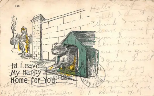 Lot 37 USA I d live my happy home for you Comic Postkarte Hund Bufallo