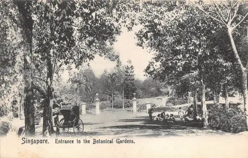 Lot 89 Singapur Eingang zum Botanischen Garten Rikscha Junge