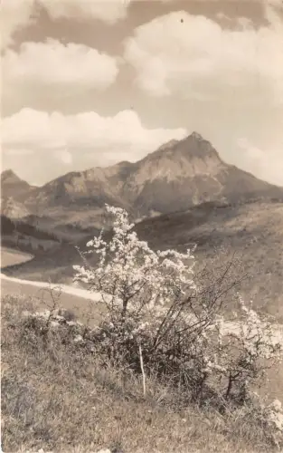 BG29782 mala fatra jaro vo vratnej slovakia CPSM 14x9cm