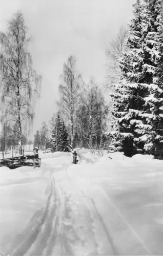 Lot127 Schweden Winterlandschaft Echtfoto Frohe Weihnachten Gott Jul Grüße