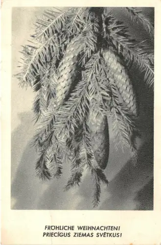 US5714 weinachten Tanne Weihnachten ziemassvetkus Lettland Grüße