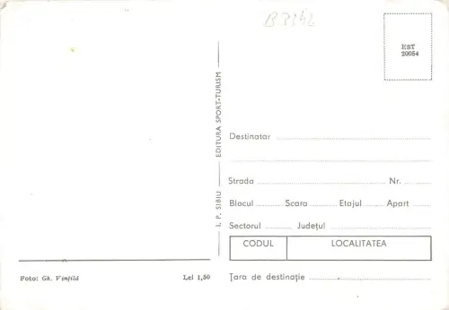 B3342 Rumänien Fleurs Front/Back Scan