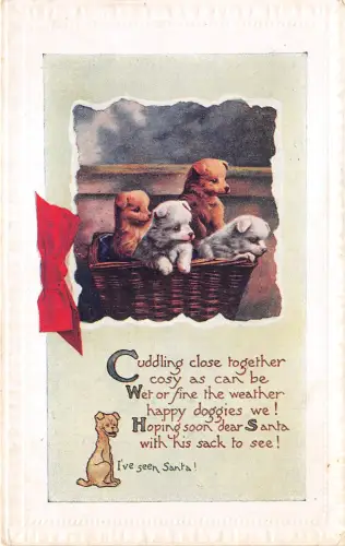 Lot341 Welpen im Korb Hund Weihnachtsgrüße Tier UK Ich habe Santa gesehen