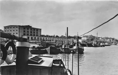 BC43082 Romania Intreprinderea de industrializare si desfacere a pestelui Tulcea