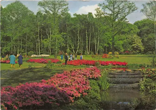 B87106 richmond park surrey uk